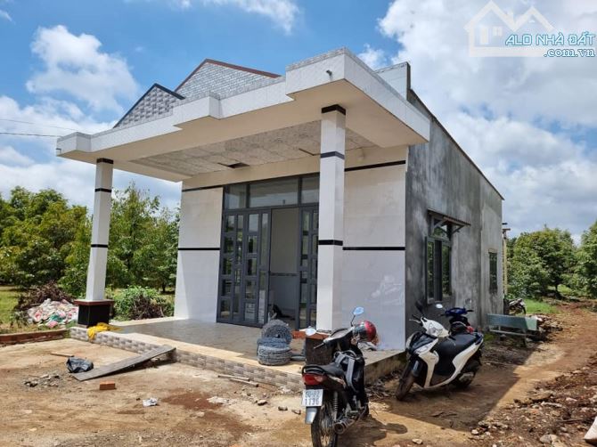 BÁN NHÀ VƯỜN 3500M2+NHÀ CẤP 4 +VƯỜN CÂY ĂN QUẢ CÁCH ĐƯỜNG NHƯA NAM LỘ 200M CHỈ 2TY55 - 1