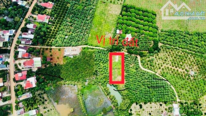 BÁN LÔ ĐẤT BIỆT THỰ VƯỜN VIEW HỒ 1000M2(15MX73M) KHU DÂN CƯ ĐÔNG ĐÚC CHỈ 1TY450 - 5