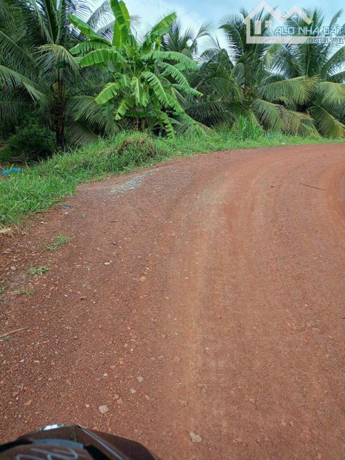 Đất hẻm đường Nguyễn Văn Quá, xã Lợi Bình Nhơn ,TP, Tân An - 2