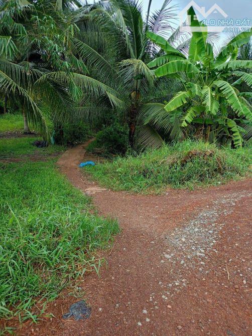 Đất hẻm đường Nguyễn Văn Quá, xã Lợi Bình Nhơn ,TP, Tân An - 3