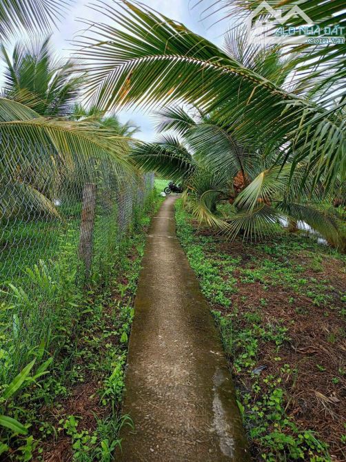 Đất hẻm đường Nguyễn Văn Quá, xã Lợi Bình Nhơn ,TP, Tân An - 5