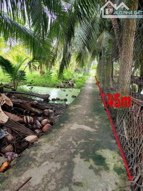 Đất hẻm đường Nguyễn Văn Quá, xã Lợi Bình Nhơn ,TP, Tân An - 8