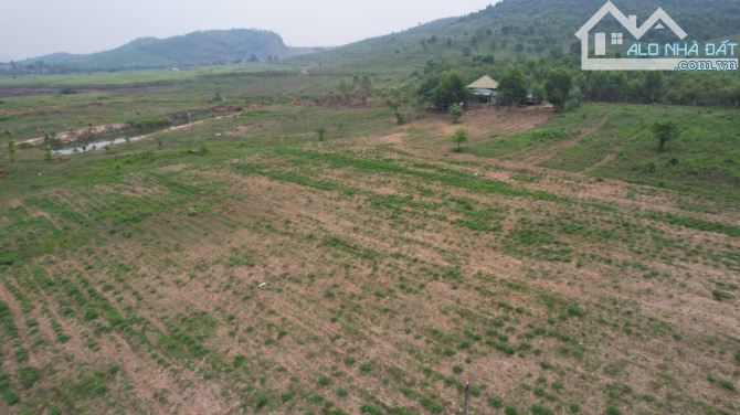 Đất Vườn Ninh Xuân Ninh Hòa - 4,7ha bằng phẳng thích hợp làm farm, trang trại - 1