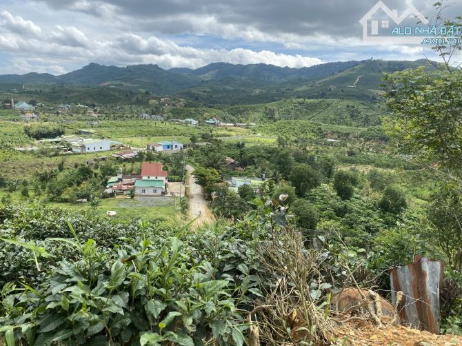 Bán đất Bảo Lộc 5403m2 có 52m mặt tiền đường lớn 20m, view 360 Tp Bảo Lộc - 1