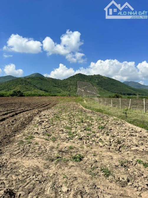 Đất Vườn Ninh Xuân Ninh Hòa - 4,7ha bằng phẳng thích hợp làm farm, trang trại - 2