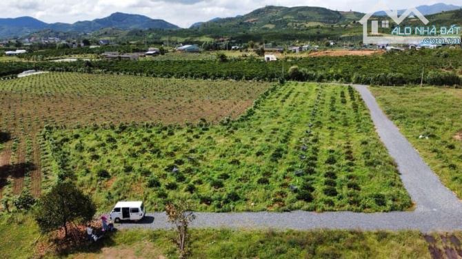 Bán Đất Bảo Lộc 5.496m2 có 30m mặt tiền, gần giáp sông, bằng phẳng, xe hơi tận nơi - 2
