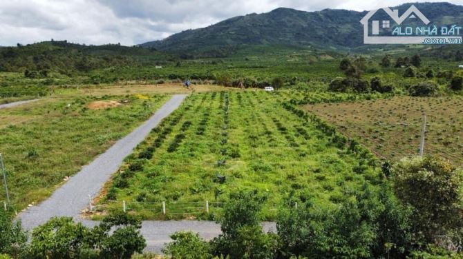 Bán Đất Bảo Lộc 5.496m2 có 30m mặt tiền, gần giáp sông, bằng phẳng, xe hơi tận nơi - 4