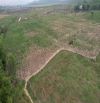 Đất Vườn Ninh Xuân Ninh Hòa - 4,7ha bằng phẳng thích hợp làm farm, trang trại