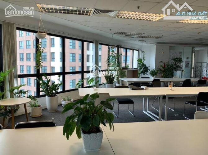 Cho thuê văn phòng tòa Center Point Lê Văn Lương, DT từ 75 - 600m2, giá 250k/1m2 - 1