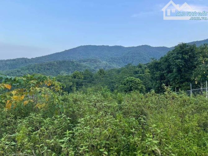 3100m2 (5,9 triệu/m2) sổ hồng riêng, gần ĐH Quốc Gia Hà Nội, quốc tế Maya, view cao đẹp - 3