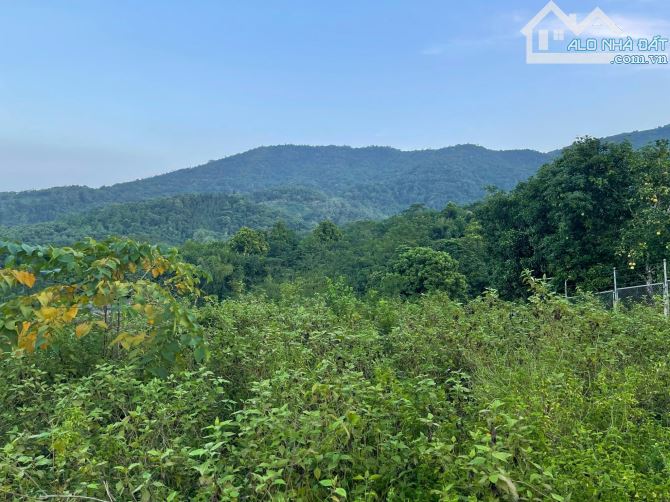 3100m2 (5,9 triệu/m2) sổ hồng riêng, gần ĐH Quốc Gia Hà Nội, quốc tế Maya, view cao đẹp - 4
