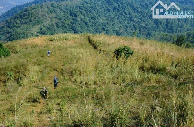 3100m2 (5,9 triệu/m2) sổ hồng riêng, gần ĐH Quốc Gia Hà Nội, quốc tế Maya, view cao đẹp - 5