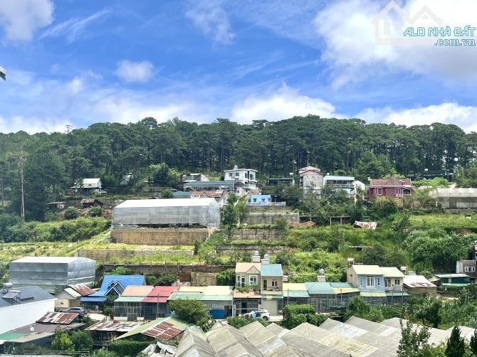 BÁN ĐẤT KQH T21 AN SƠN P4 ĐÀ LẠT VIEW RỪNG THÔNG - 1