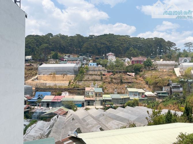 BÁN ĐẤT KQH T21 AN SƠN P4 ĐÀ LẠT VIEW RỪNG THÔNG - 5