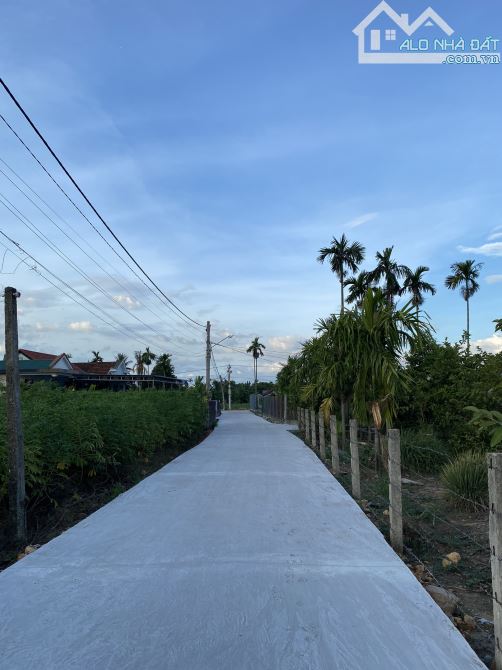 ♨️ ĐẨY NHANH LÔ ĐẤT HƯƠNG XUÂN GIÁ CHẠM ĐÁY🥶 - 3