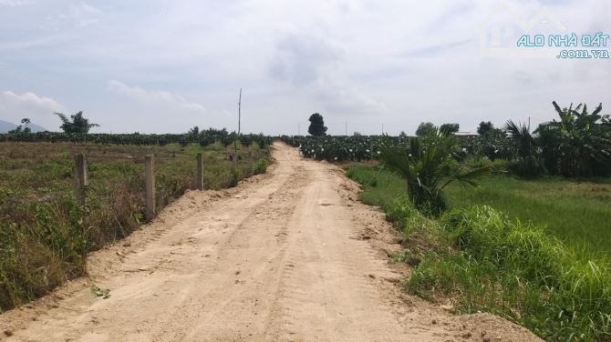 Đất Đẹp Thị Trấn Tân Nghĩa đường ô tô ,4 mặt tiền  15.601m2  5,6 tỷ. - 1