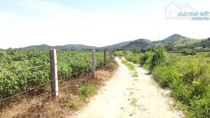 Đất Đẹp Thị Trấn Tân Nghĩa đường ô tô ,4 mặt tiền  15.601m2  5,6 tỷ. - 2