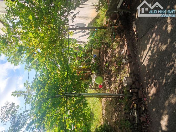 Bán đất 5*27m 2 mt Dương Công Khi. Xts hocmon - 1