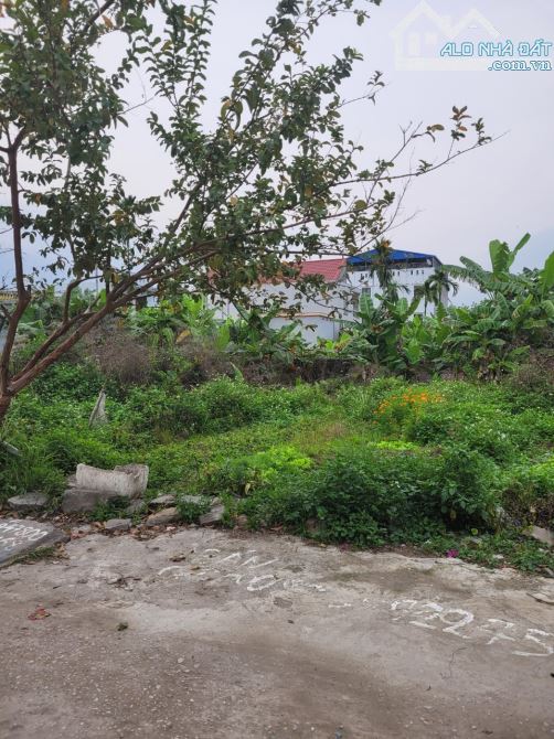 Bán đất ở đường Máng Nước gần chợ Vĩnh Khê An Đồng, 100m2, 2,7 tỷ - 3