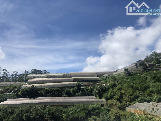 Bán 1,2 hecta đất nông nghiệp khu vực phường 5 thành phố Đà Lạt - 1