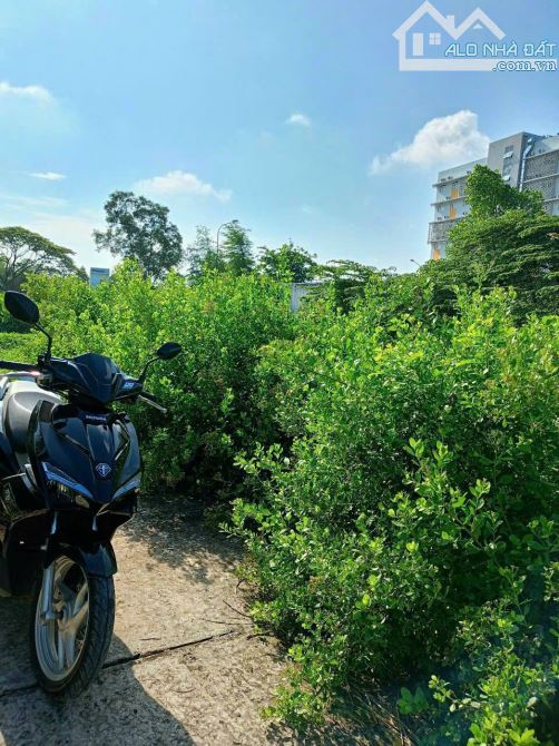 Lô đất hẻm, đường Đinh Thiếu Sơn, P7, TP Tân An - 2