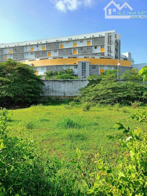 Lô đất hẻm, đường Đinh Thiếu Sơn, P7, TP Tân An - 3