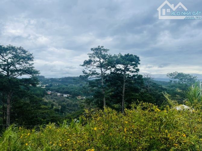 Bán đất 516m2, view đồi thông cực đẹp, tại phường 3, ngay đầu đèo Prenn - 3
