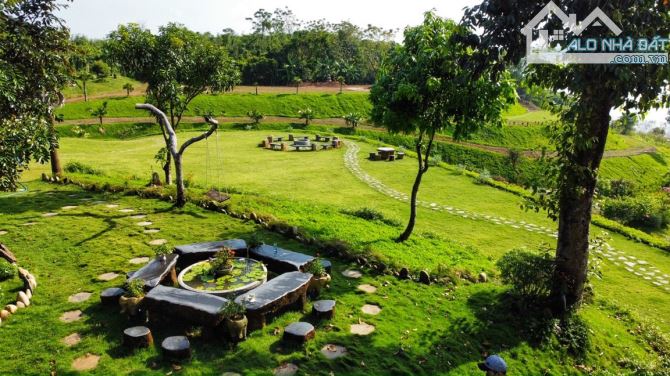 CẦN BÁN VIEW NGHĨ DƯỠNG HỒ SÔNG RAY LÂM SAN CẢM MỸ, DT 3HEC, GIÁ 1.9TI/SAO - 5