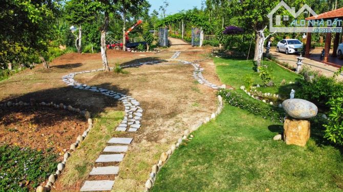 CẦN BÁN VIEW NGHĨ DƯỠNG HỒ SÔNG RAY LÂM SAN CẢM MỸ, DT 3HEC, GIÁ 1.9TI/SAO - 6