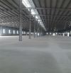 Cho thuê kho xưởng 3000m2, 6000m2, 9000m2 tại Cụm CN  Văn Lâm, PCCC tự động