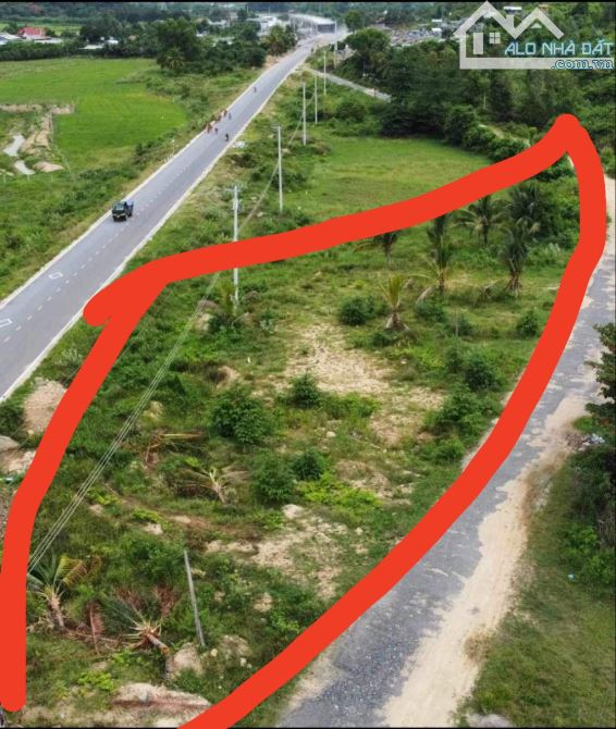 Bán đất mặt tiền tỉnh lộ 3 khánh hoà - 2