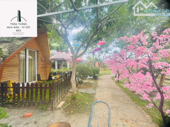 Farm MiNi nghĩ dưỡng - kinh doanh dịch vụ lưu trú - gần KCN SoNadeze - đồi cừu Suối Nghệ - 1