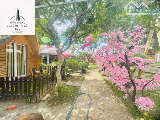 Farm MiNi nghĩ dưỡng - kinh doanh dịch vụ lưu trú - gần KCN SoNadeze - đồi cừu Suối Nghệ - 16
