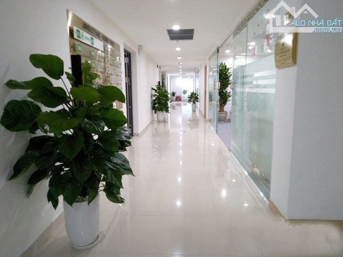 Cho thuê văn phòng tòa Nam Cường Building, Tố Hữu, Hà Đông 100 - 200 - 500...;  120k/1m - 4