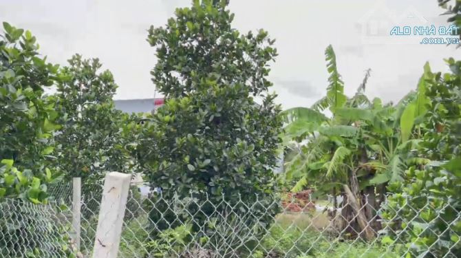 HÀNG HIẾM ĐẤT VƯỜN  THỔ CƯ 2200M2 CÓ SẴN 150M2 ĐẤT Ở KHU DÂN CƯ ĐÔNG KHÍ HẬU MÁT MẺ 1TY35 - 1
