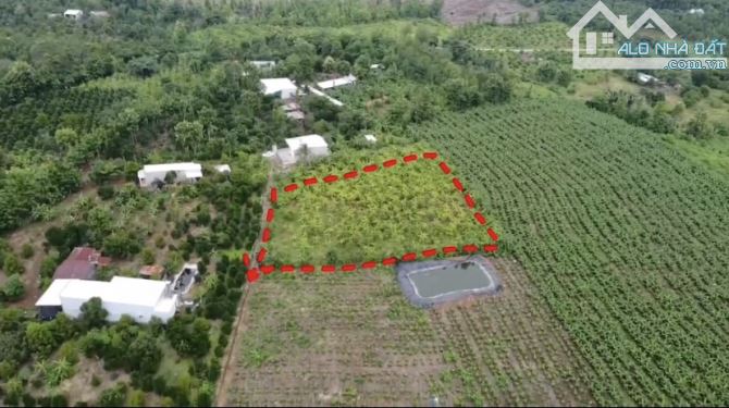 HÀNG HIẾM ĐẤT VƯỜN  THỔ CƯ 2200M2 CÓ SẴN 150M2 ĐẤT Ở KHU DÂN CƯ ĐÔNG KHÍ HẬU MÁT MẺ 1TY35 - 3