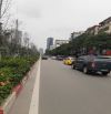 Sốc !! Chủ nợ Bank, Bán nhà mặt đường Trần Duy Hưng 2 mặt ngõ,1100m2, MT 30m, Giá 220 tỷ