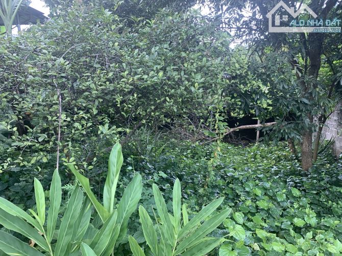 228m Full Đất Ở Khu Khoáng Nóng Phố Rạnh - Đông Bắc Cách Quốc Lộ 12B 30m. View Cánh Đồng - 4