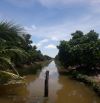 Vườn dừa mít 20x423=8975m² gần KCN, cao tốc Trung lương