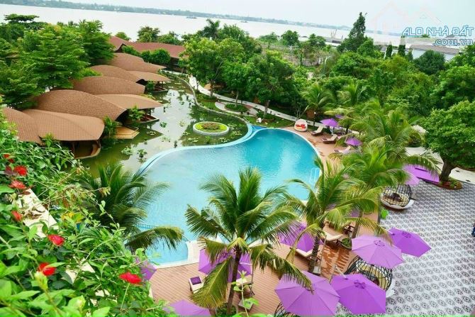 Bán  RESORT 3 mặt tiền tại CỒN KHƯƠNG, DT: 9.755m2, giá: 330 tỷ - 1
