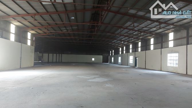 Cho thuê 2 nhà kho 2300m2 với 2400m2. Phường Thuận Giao, TP Thuận An, Bình Dương - 2