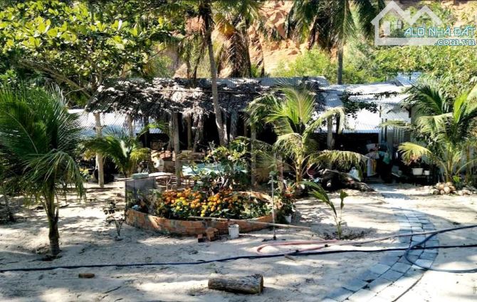 Đại Hạ Giá-Nhiều Đất Sào 2 mặt tiền Suối Tiên-Hàm Tiến-Phan Thiết. - 2