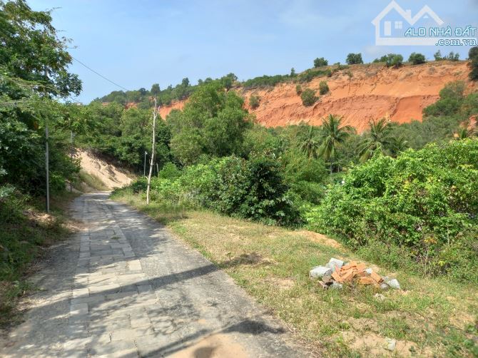 Đại Hạ Giá-Nhiều Đất Sào 2 mặt tiền Suối Tiên-Hàm Tiến-Phan Thiết. - 5