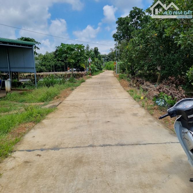 LÔ ĐẤT ĐẸP VUÔNG VỨC GẦN QUỐC LỘ 20 DT: 1090M2(18MX60M) CÁCH QL20 CHỈ 300M CHỈ 1TY050 - 1