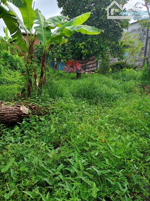 Đất hẻm, đường lộ Xuân Hòa, xã Lợi Bình Nhơn, TP Tân An - 1