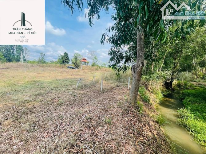 Đất view Suối nước quanh năm - Xã Suối Rao - thích hợp làm nhà vườn - 6