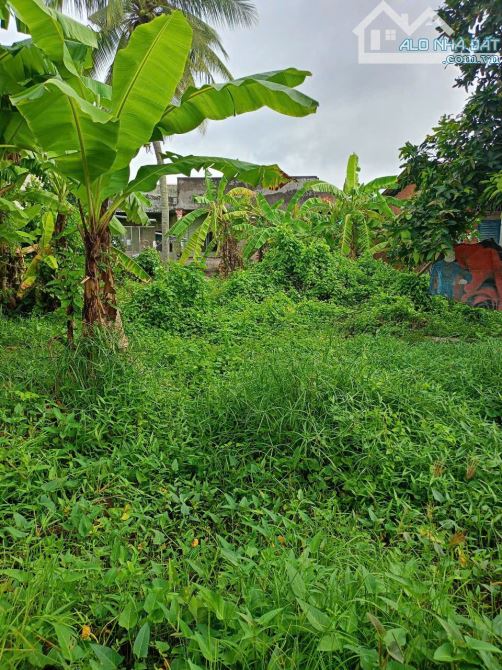 Đất hẻm, đường lộ Xuân Hòa, xã Lợi Bình Nhơn, TP Tân An - 2