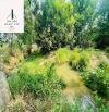 Đất view Suối nước quanh năm - Xã Suối Rao - thích hợp làm nhà vườn