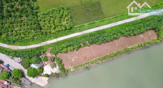 Chính chủ gửi bán 4600m đất 03 ven sông an lão an - 3