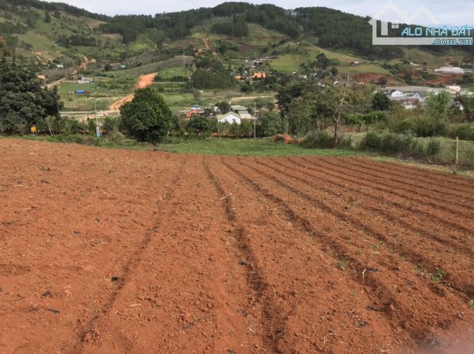 1800m2 đất có 200m xây dựng, 32m mặt tiền cao tốc view cực đẹp ngay trạm thu phí